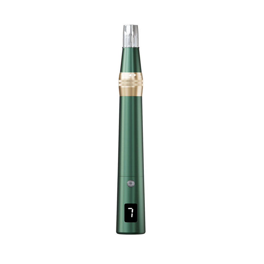 7-Speed Cordless Microneedling Pen with LCD Display - Adjustable Depth Derma Pen for Skin Rejuvenation 01