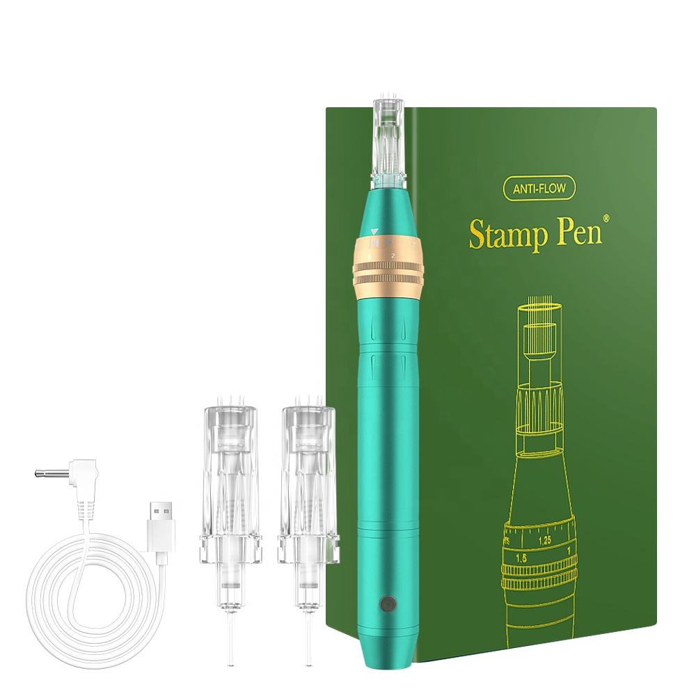 Anti-Backflow Derma Pen 01