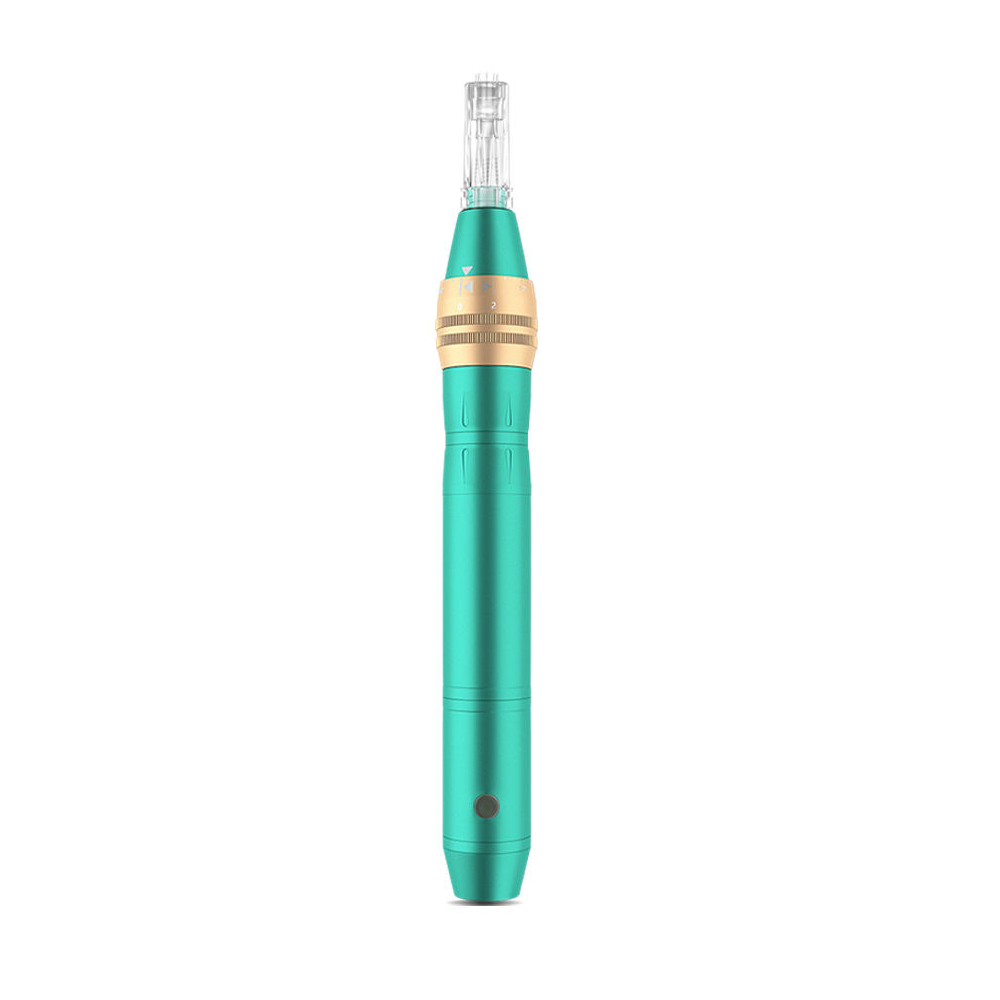 Anti-Backflow Derma Pen 02