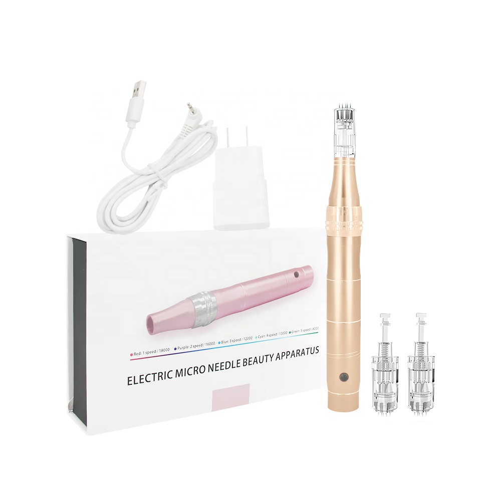Electric Derma Pen Microneedling Machine - 5-Speed MTS Nano Micro Needle Pen for Skin Repair, Acne Scars, Anti-Aging, Home & Salon Use